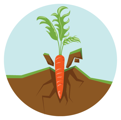lawnstolife.com